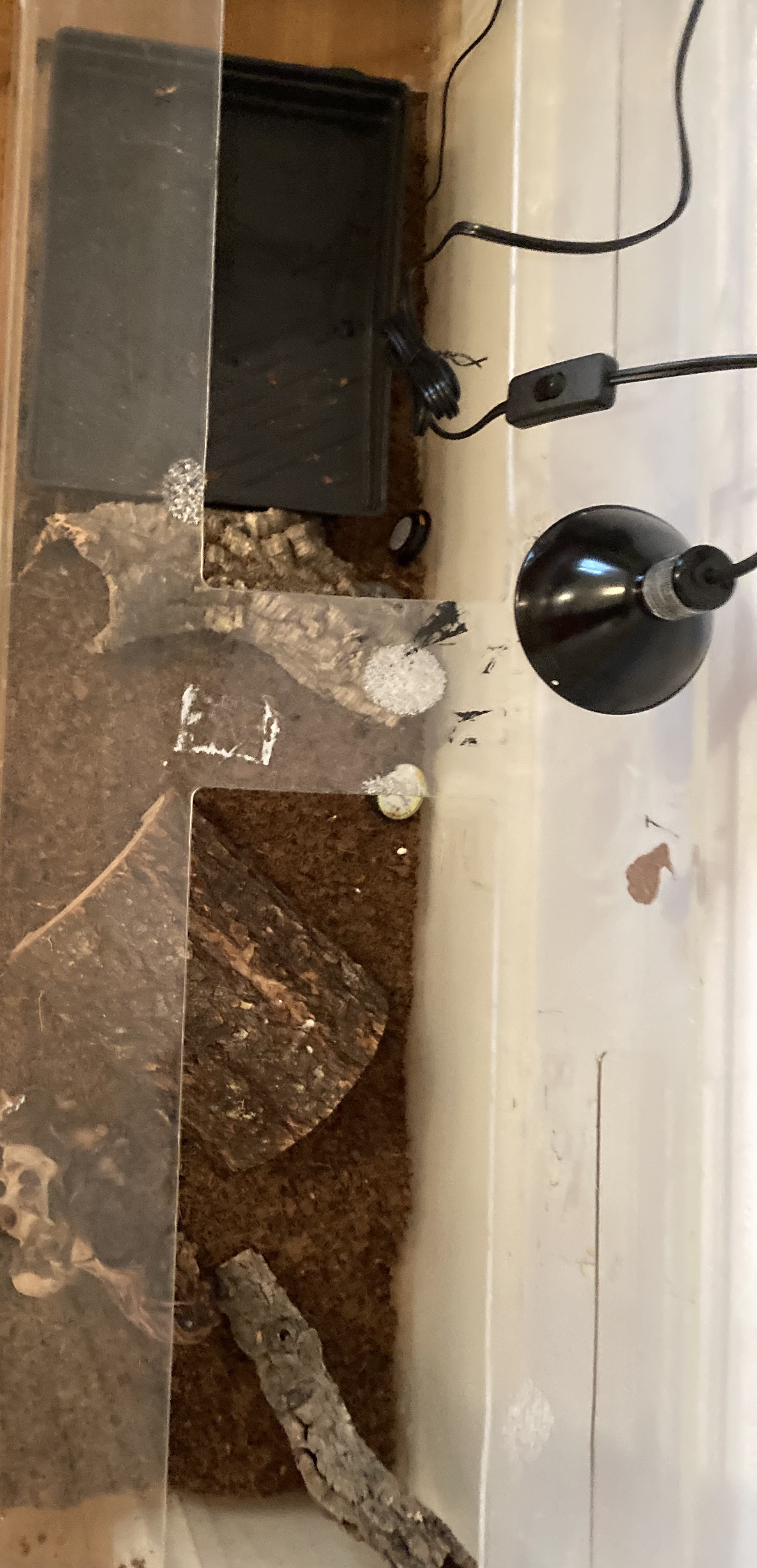 enclosure